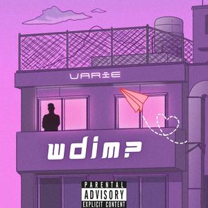 WDIM (Explicit)