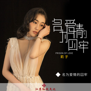 名为爱情的囚牢 (Live降调降速版)