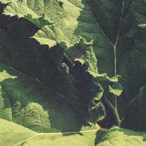 Le Ciel En Silence Brûle (feat. Piero)