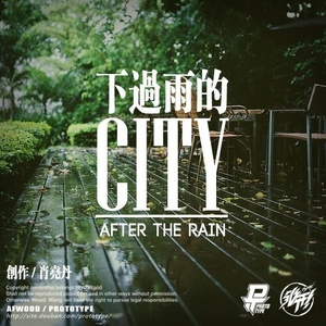 下过雨的City （Instrument )