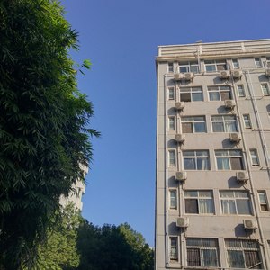 请在薄情的世界里深情的活着