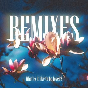 What is it like to be loved? Remixes (Explicit)