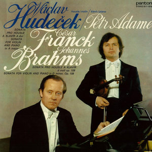 Sonata for Violin and Piano No. 3 in D minor, Op. 108: I. Allegro