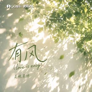 有风 (love is easy)-是晚星呀