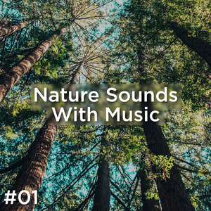 #01 Nature Sounds With Music