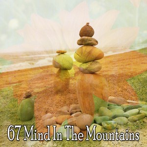 67 Mind in the Mountains