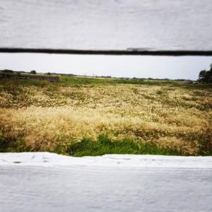 Apostate(feat. Steven Clapham & Matt Reid)