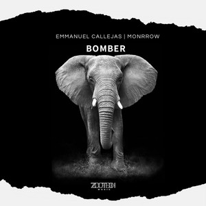 Bomber