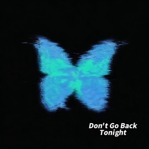 Don't Go Back Tonight (今晚别走)