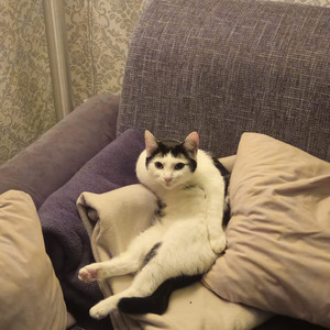 24/7 (Remastered 2024)