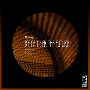 Remember the Future (Secretvision Remix)