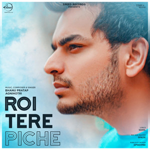 Roi Tere Piche - Single