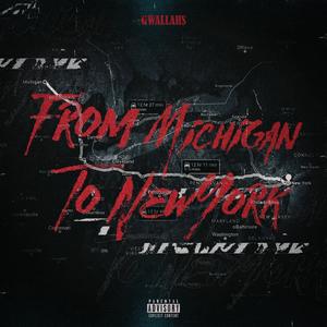 From Michigan to New York (Explicit)