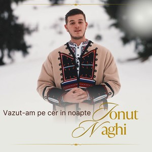 Vazut-am pe cer in noapte