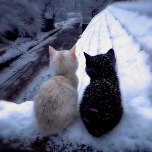 you're my type! (feat. below! & 4evvr) (Explicit)