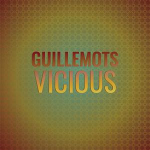 Guillemots Vicious