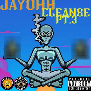 Cleanse, Pt. 3 (Explicit)