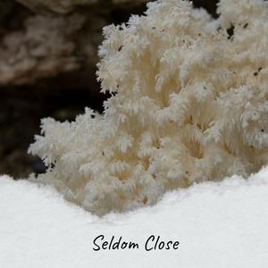 Seldom Close