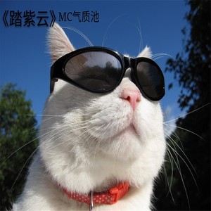 踏紫云