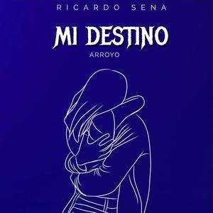 MI DESTINO (feat. ARROYO)