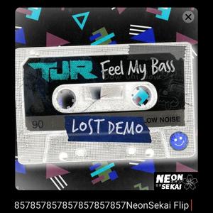 TJR-Feel My Bass (NeonSekai remix)