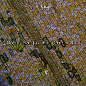 ¿cómo Rompo El Contrato?