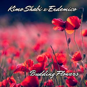 Budding Flowers (feat. Endemico)