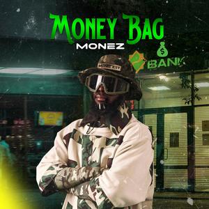 Money bag