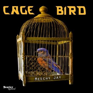 Caged Bird