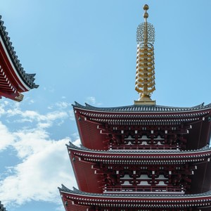 他们没等到这漫山的花开 (征战版)