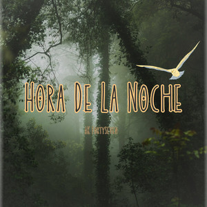 Hora De La Noche