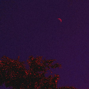 how often do you see the sky?