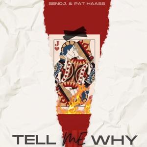 Tell Me Why (feat. Pat Haass) (Explicit)