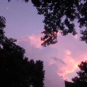 去有风的地方-LHY