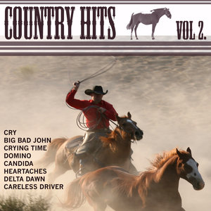 Country Hits Vol.2