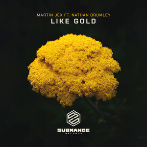 Like Gold (feat. Nathan Brumley) (Extended Mix)