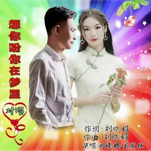 刘晓娟 - 想你盼你在梦里 (对唱版)