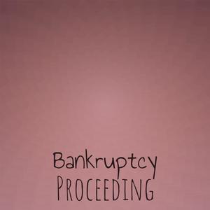 Bankruptcy Proceeding