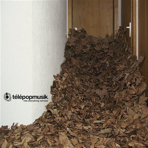 Into Everything (Zdar Mix)