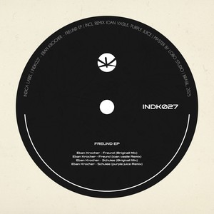 Freund (ioan vasile Remix)