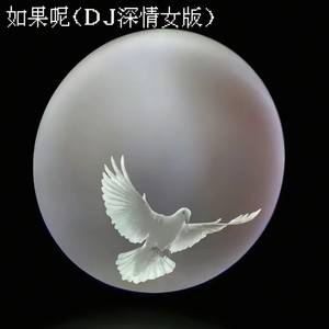 如果呢 (DJ深情女版)