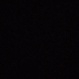 Wizard (feat. Ant Wave) (Explicit)