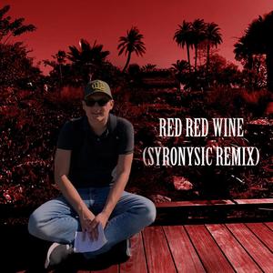 Red Red Wine (SyroMusic Remix)