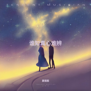 谁知真心难辨