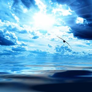 Reminiscing (feat. SME Ceo) (Explicit)