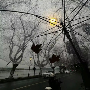 街角的晚风-钢筋波波球