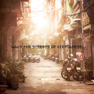 Walk the Streets of Vietnamese