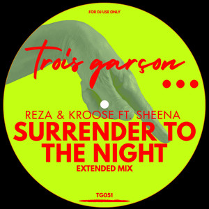 Surrender To The Night (Extended Mix)