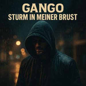 Sturm in meiner Brust (Explicit)