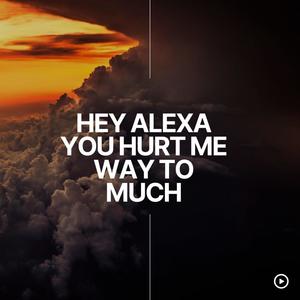 HEY ALEXA YOU HURT ME WAY TO MUCH